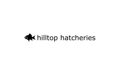 hilltop hatcheries 1