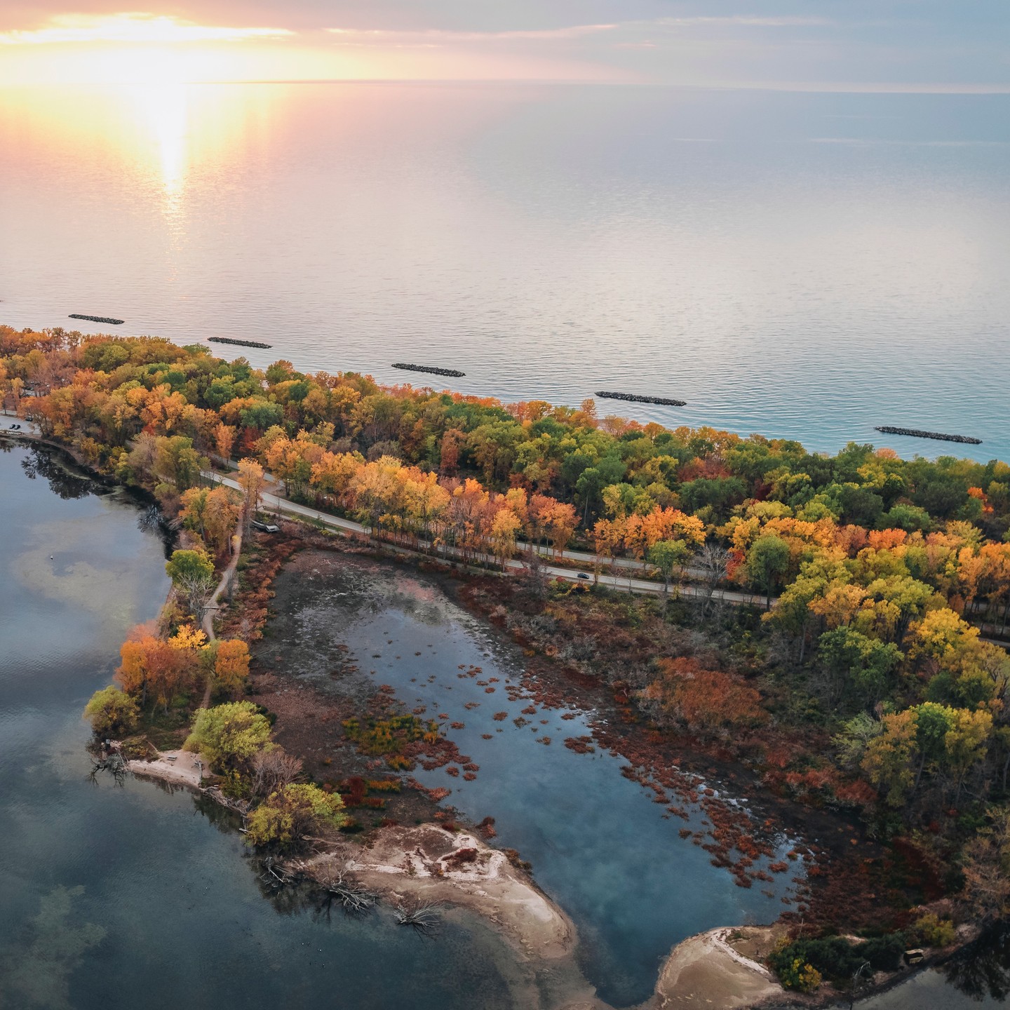 The Best Places to Enjoy Fall Foliage in Erie County VisitErie