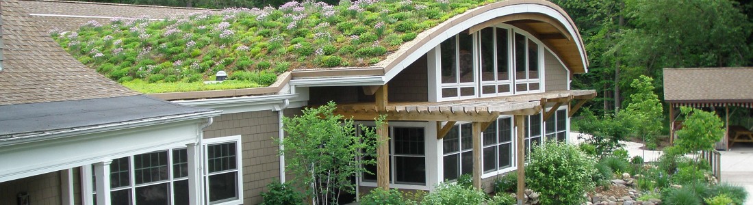 Asbury Woods Green Roof
