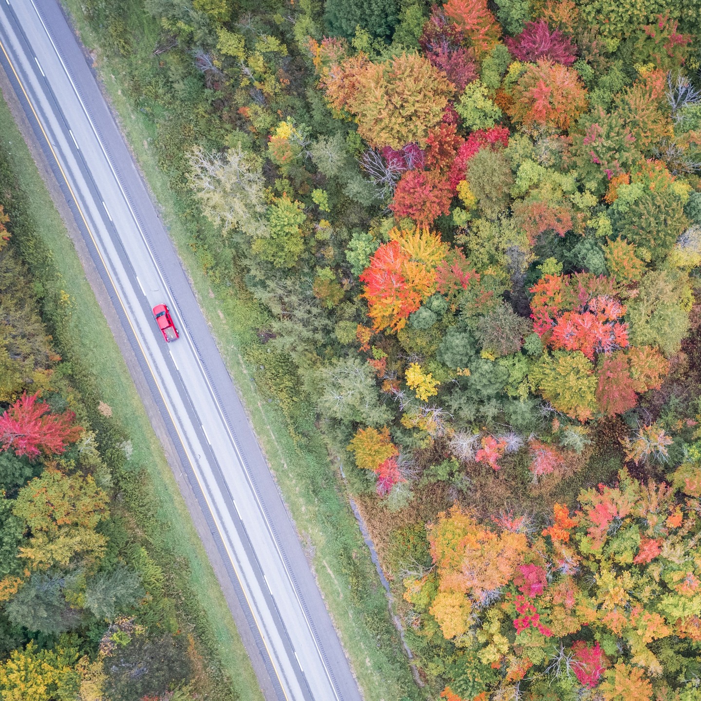 Seven Ways to Unwind and Explore in Erie PA An Empty Nester’s Fall