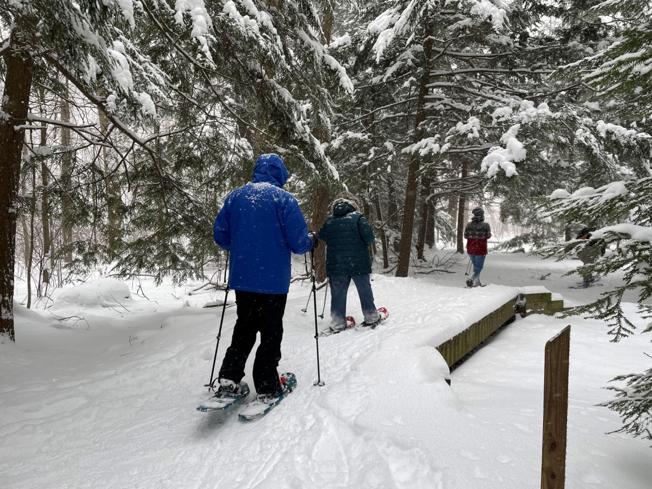 snowshoeing asbury woods credit Heather Cass resize for web