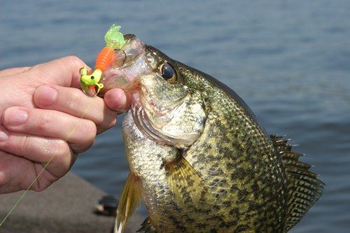 06 October hot for crappie