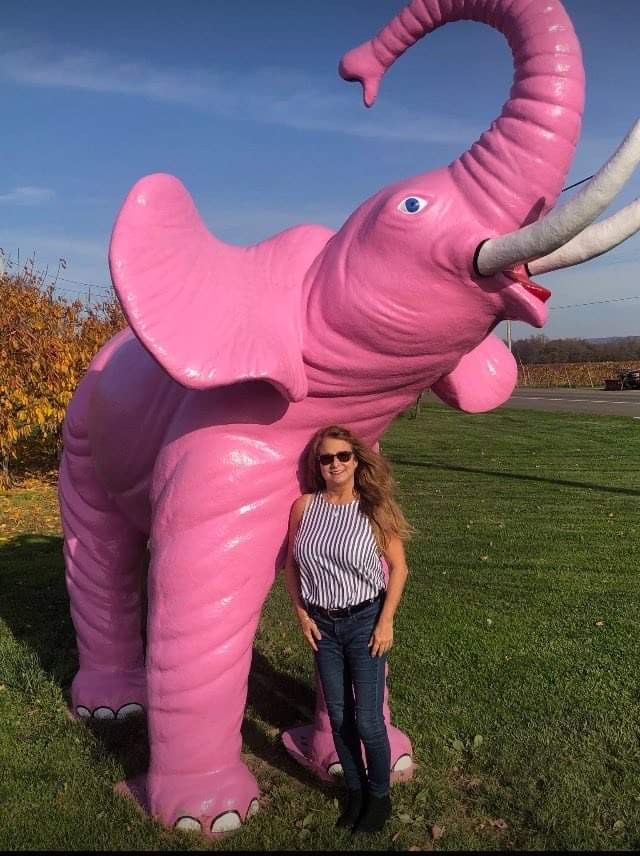 21 Brix elephant by Kathy Mosier