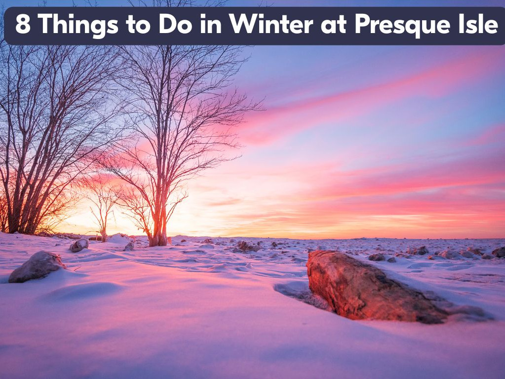 8 Things to Do in Winter at Presque Isle Blog image