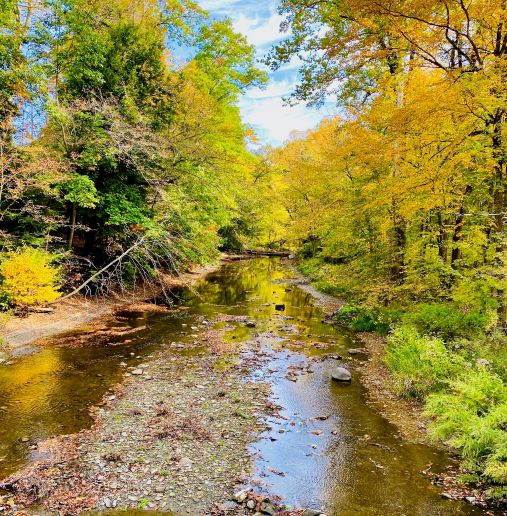 The Best Places to Enjoy Fall Foliage in Erie County VisitErie
