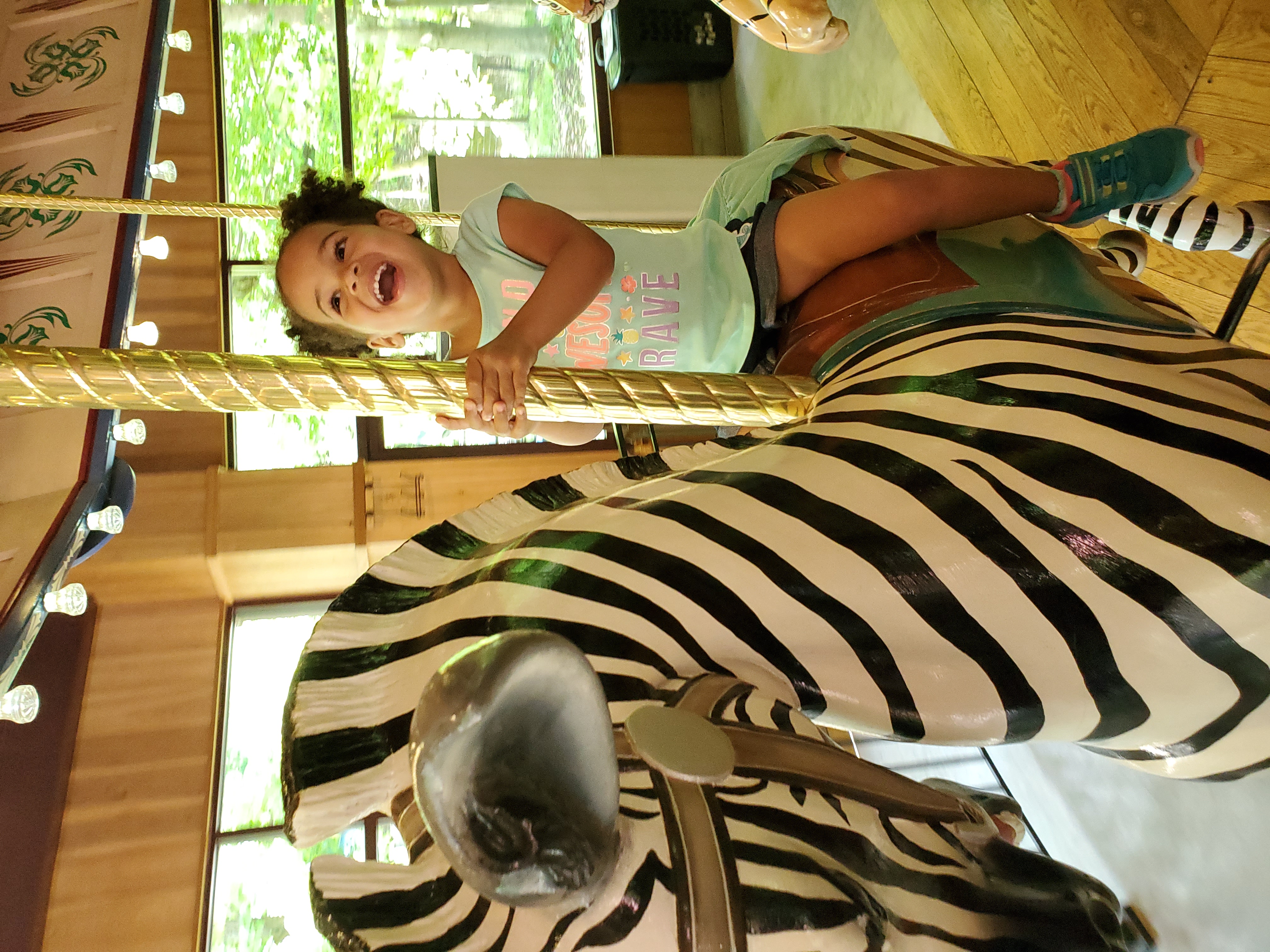 Child on MerryGoRound credit Erie Zoo
