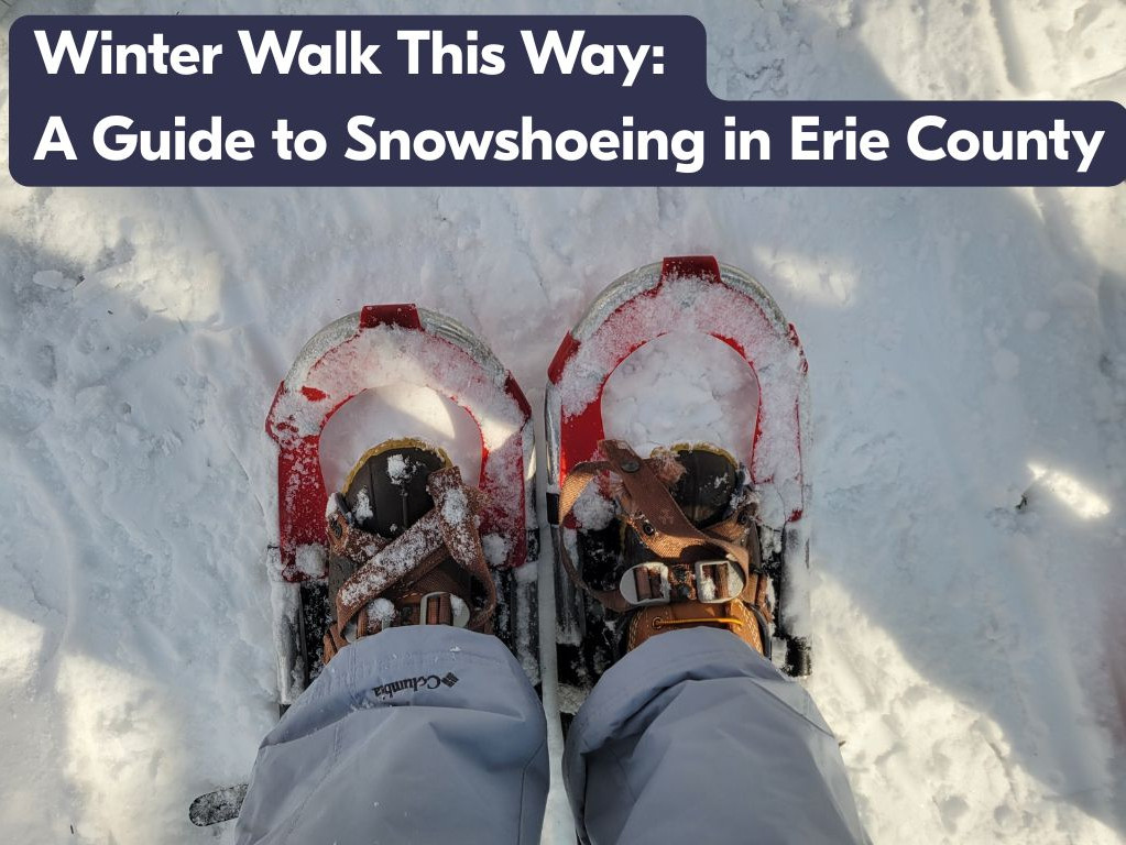 Copy of Copy of downtown erie blog image