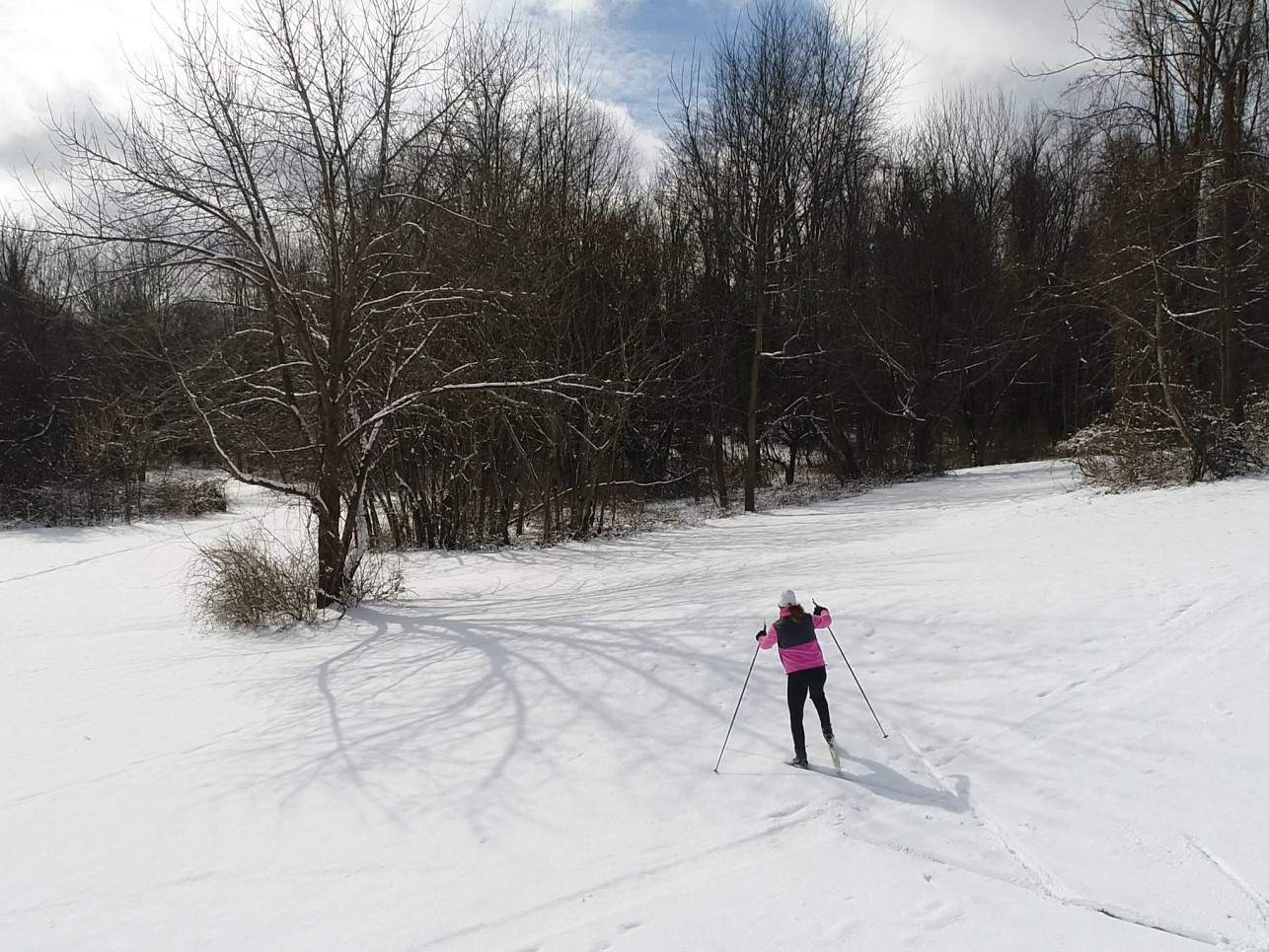 Cross Country Skiing aerial Gibbens winter 2019