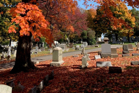 Erie Cemetary Fall Leaves and Path by Curtis Waidley WEB Crop v2