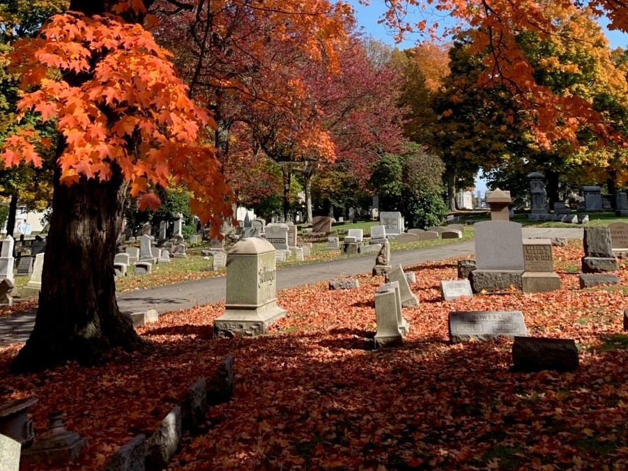 Erie Cemetary Fall Leaves and Path by Curtis Waidley WEB Crop v2