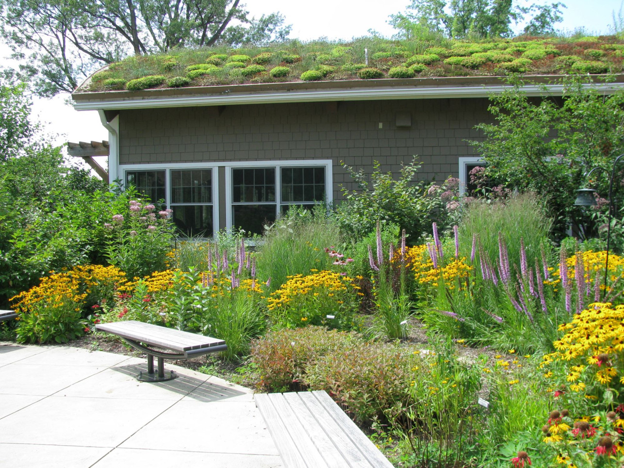 Field Garden 2 Green Roof by Asbury Woods resize