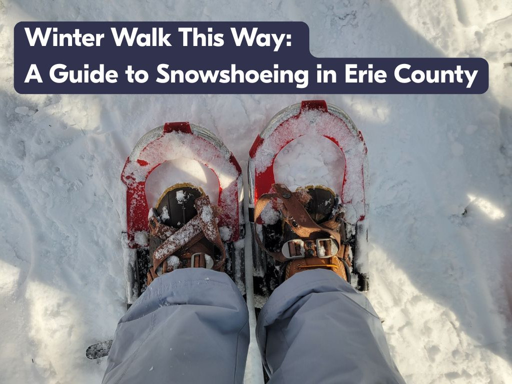 Snowshoeing Guide Blog image