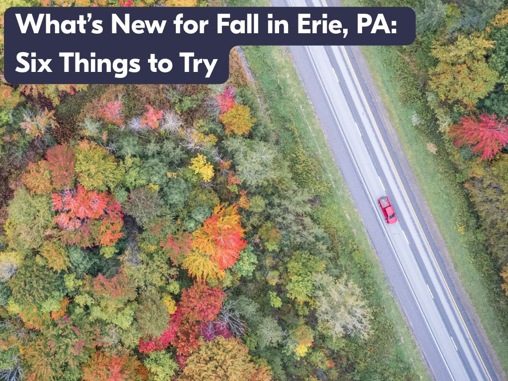 whats new blog image