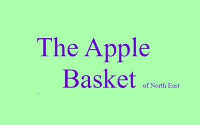 Apple Basket for web and app