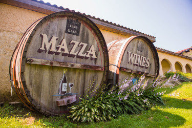 Mazza Vineyards credit R Frank WEB