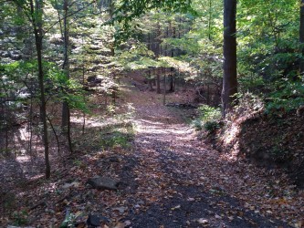 greater erie regional trails