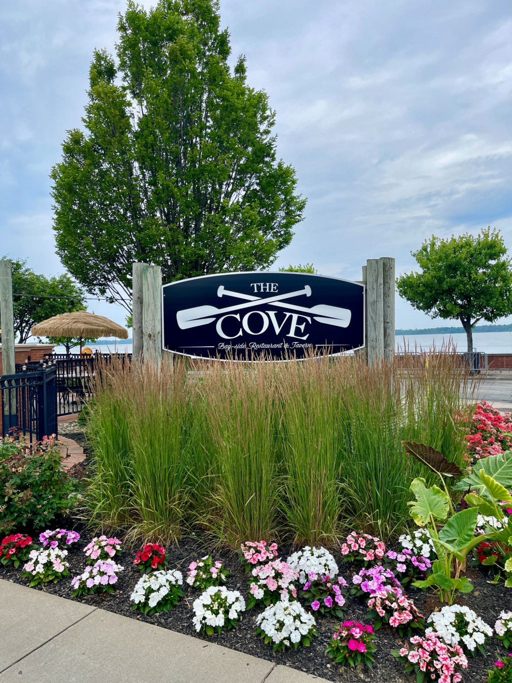 the cove sign july 2025 resize web