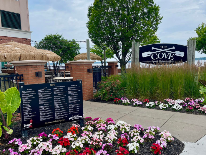 The Cove spotlight 1 resize