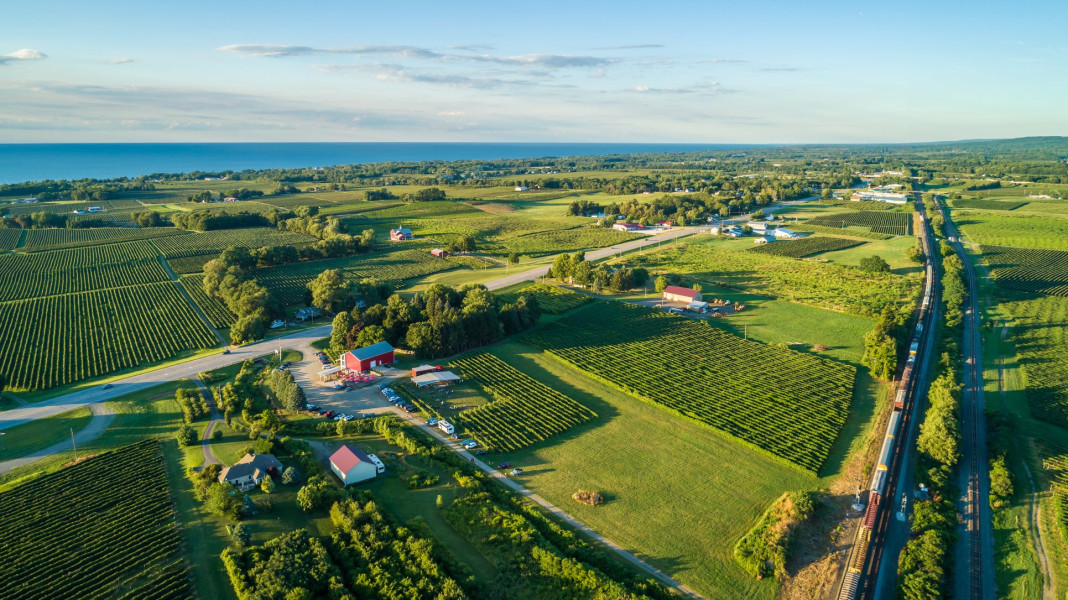 BlossomFest 2026 at Arundel Cellars & Brewing Co.