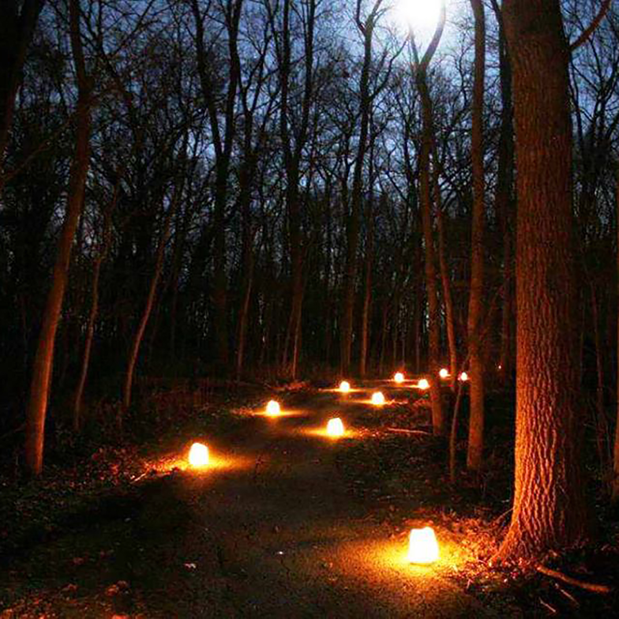 Asbury Woods Luminaria