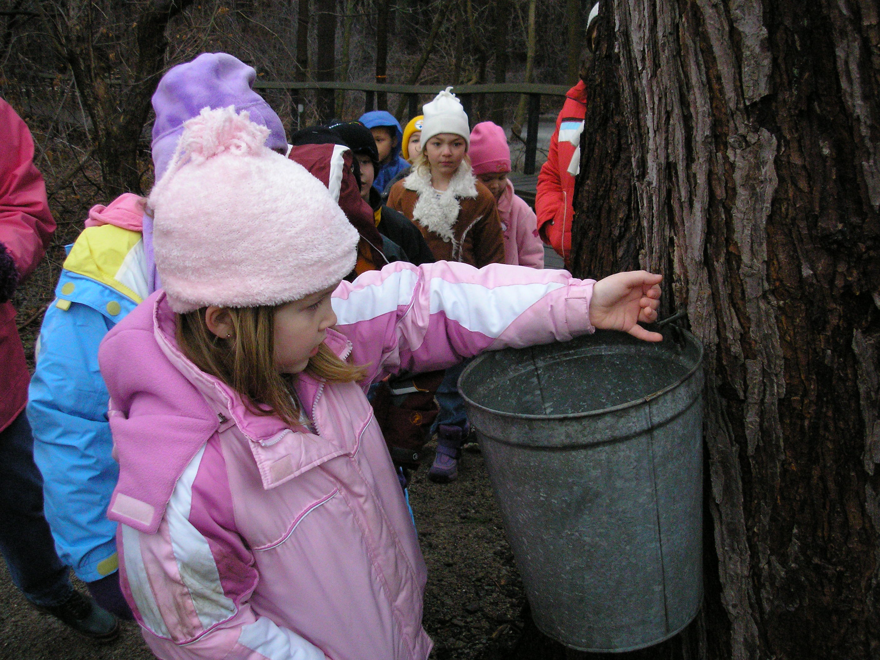 Annual Maple Taste and Tour Weekend
