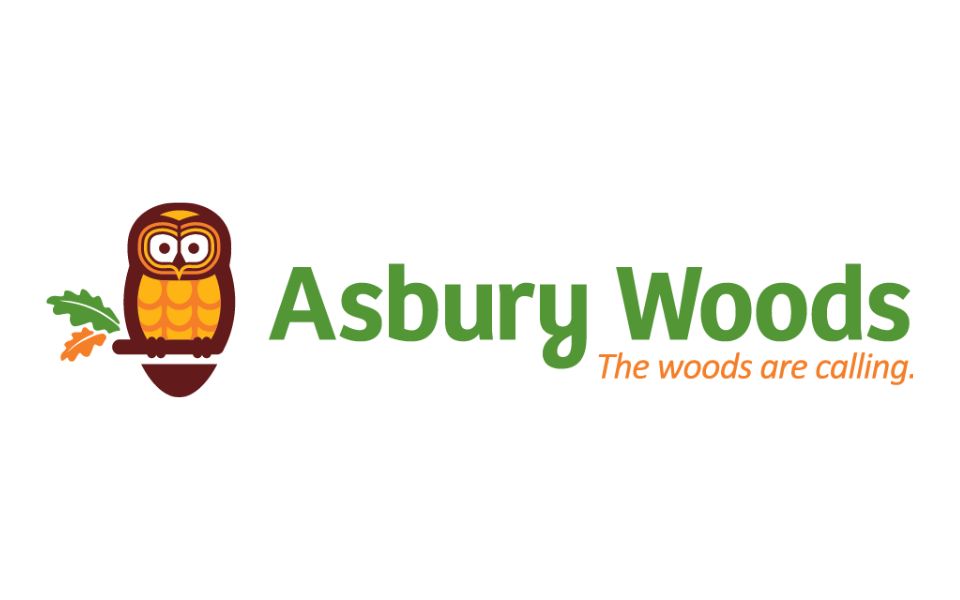 Painting at the Woods: A Tree for All Seasons at Asbury Woods