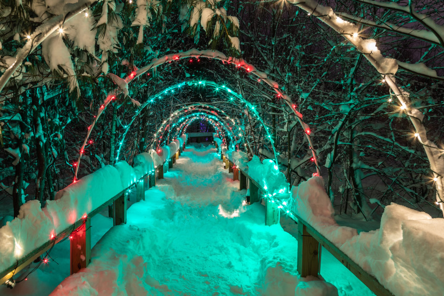 Winter Wonderland at Asbury Woods