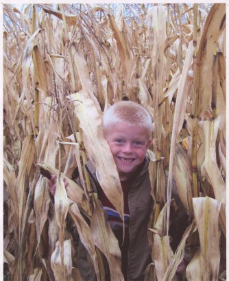 Corn maze Browns farm