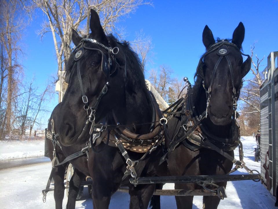 Winter Discovery Day at Presque Isle State Park