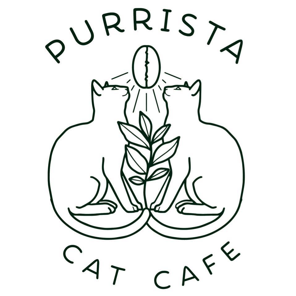 Purrista Cat Café - Grand Opening Celebration