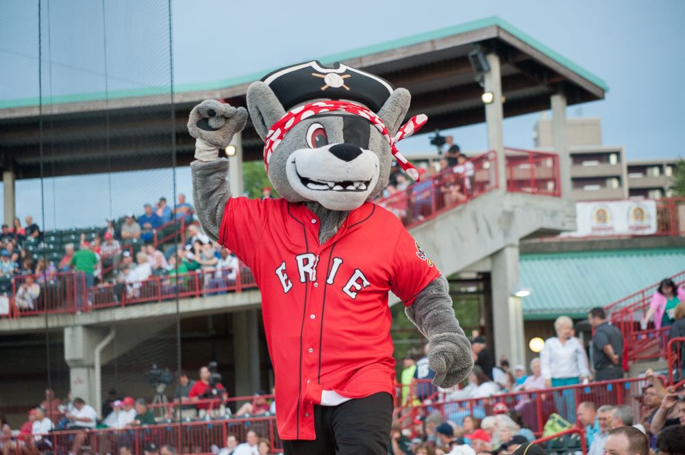 Erie SeaWolves AA Baseball