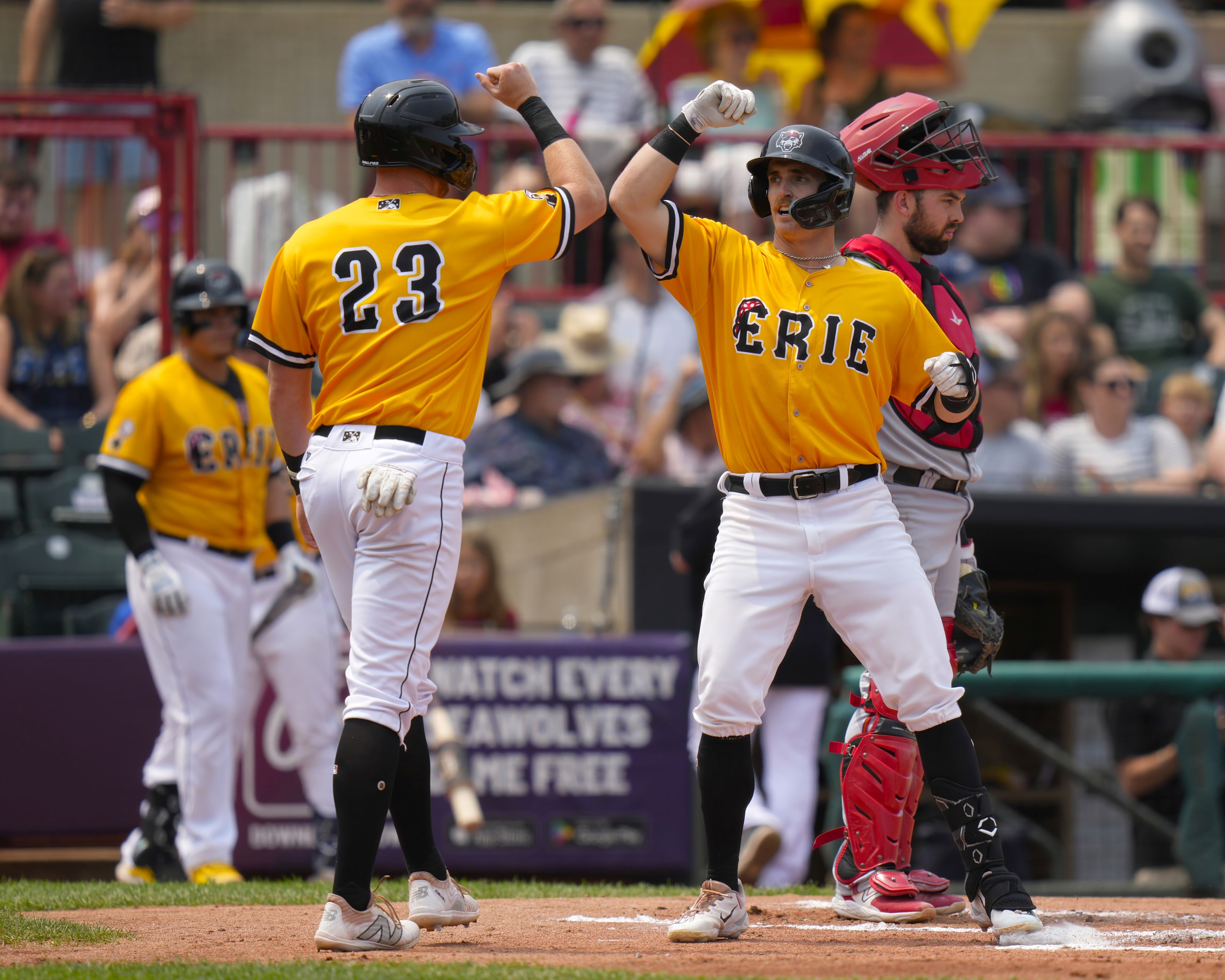 Erie SeaWolves vs. Richmond: Retro Sunday