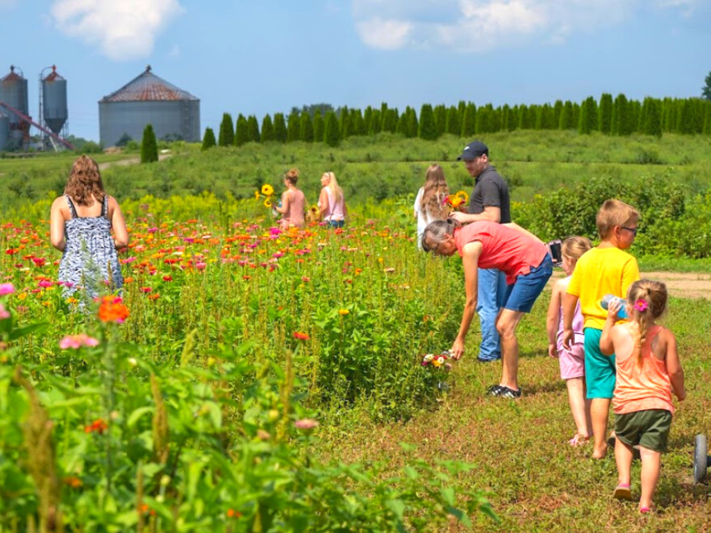 Summer Days at Port Farms