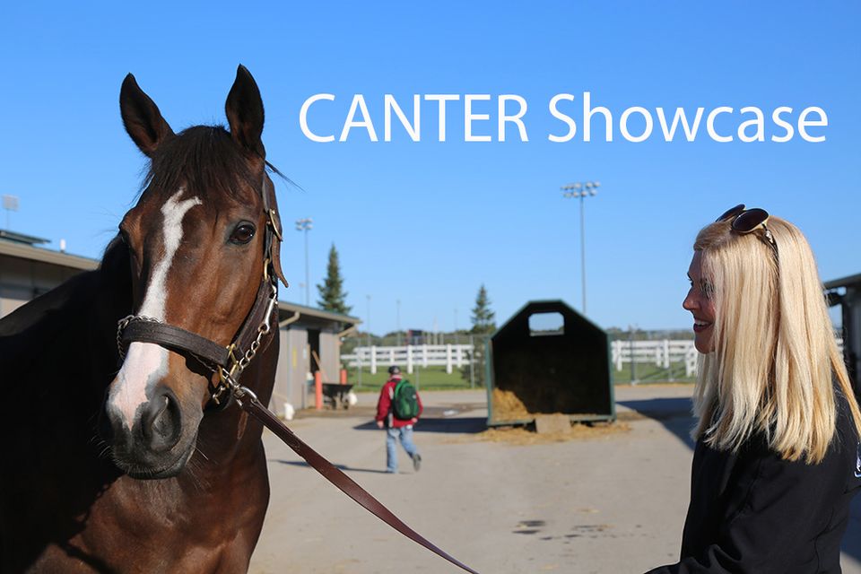 2022 Canter Showcase at Presque Isle Downs & Casino