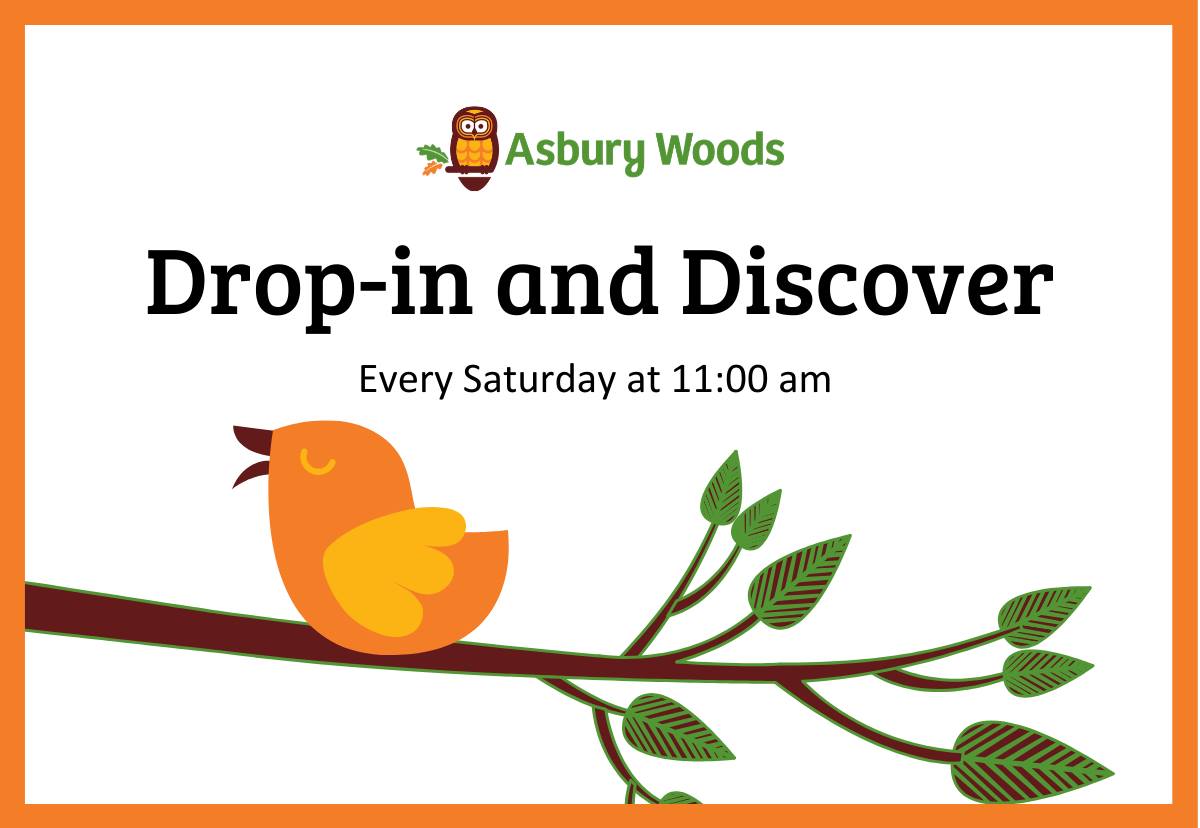 Asbury Woods Drop In and Discover