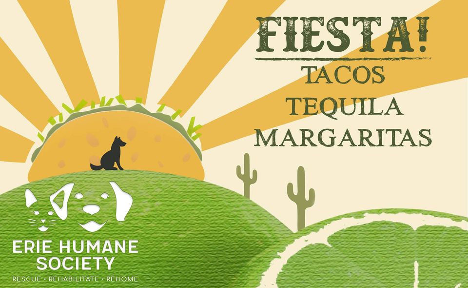 Fiesta! Tacos, Tequila & Margaritas