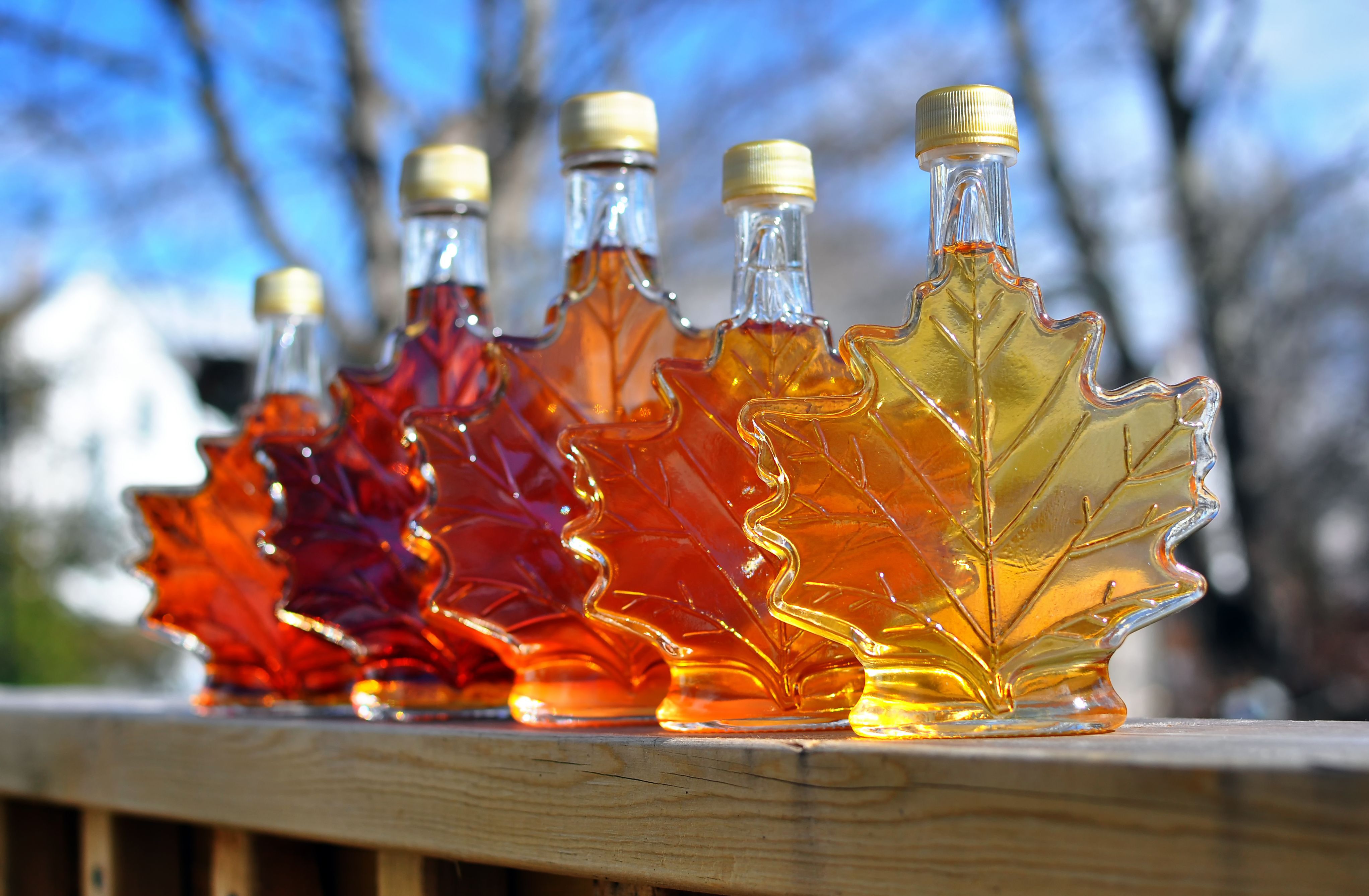 "March is Maple Syrup Month" Pop Up Exhibit