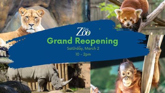 Grand Reopening Day Celebration at the Erie Zoo