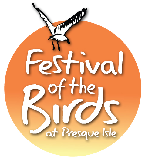 Festival of the Birds