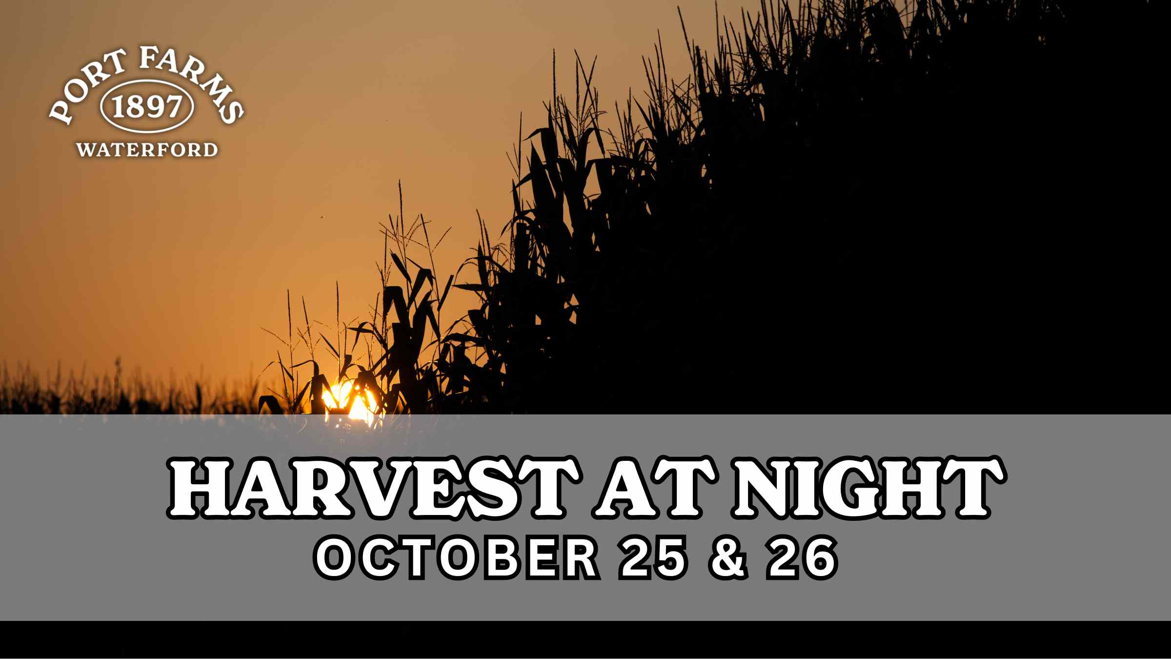 Harvest At Night