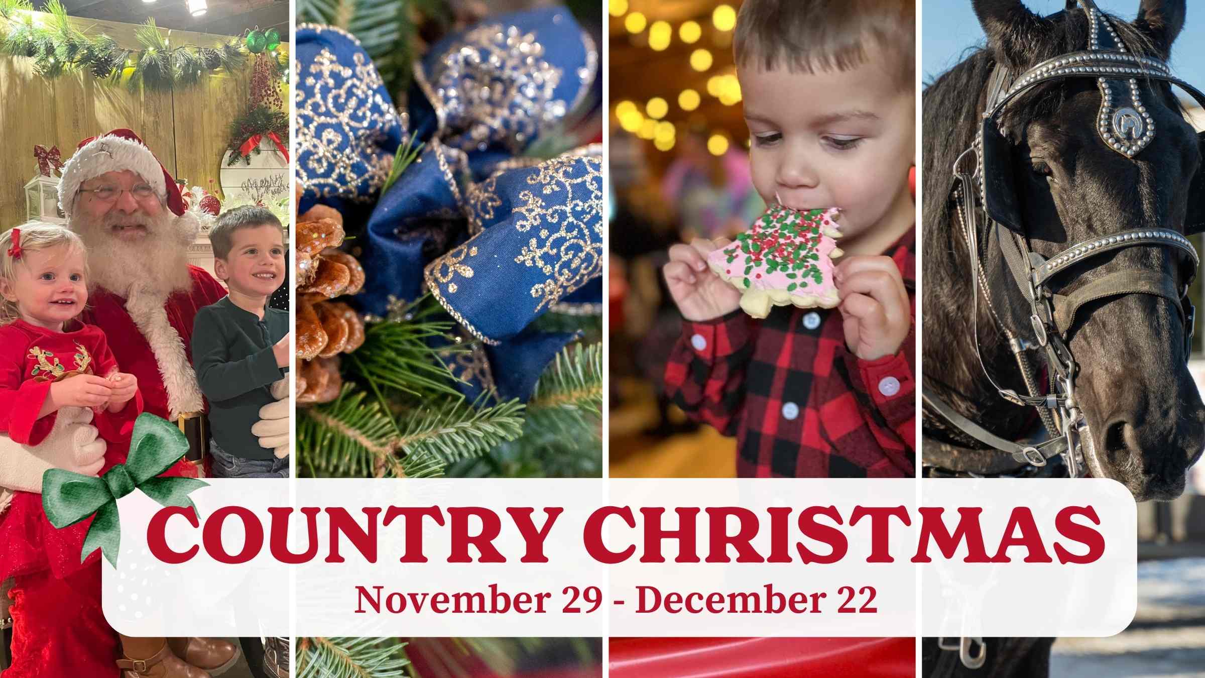 Country Christmas at Port Farms