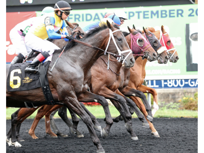 Live Thoroughbred Racing