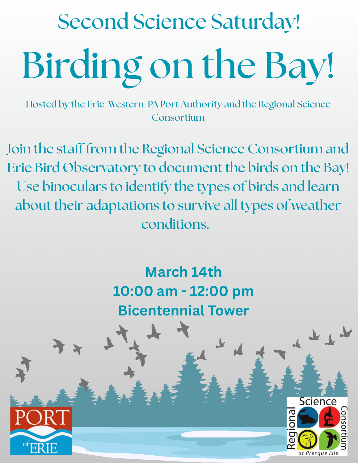 Second Science Saturday: Birding on the Bay!
