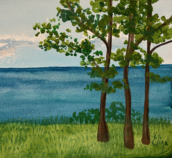 Lake Erie Landscape Workshop